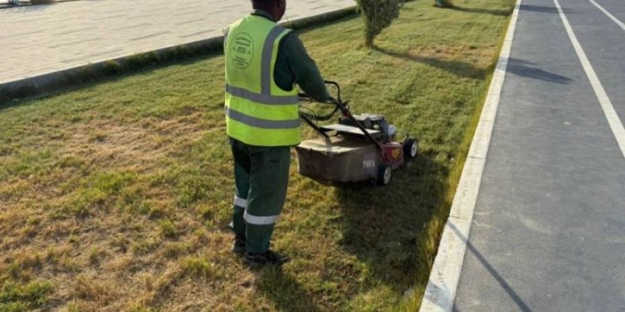 النعيرية تواصل تطوير المسطحات الخضراء 