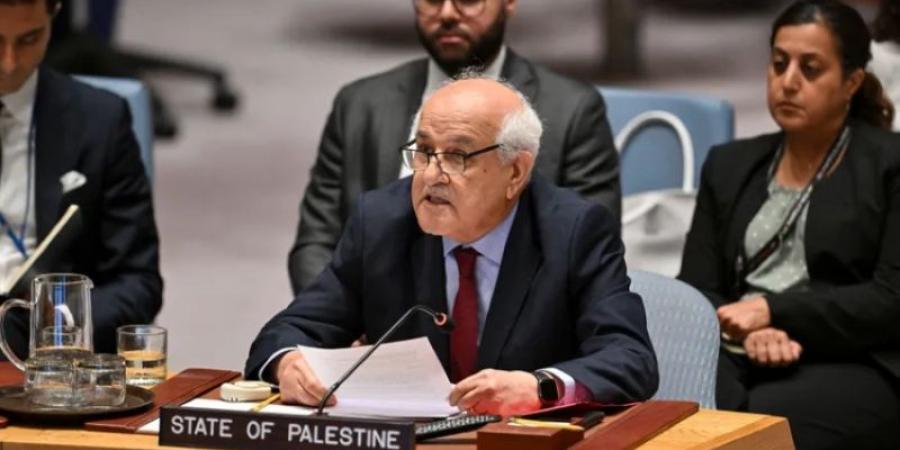 مندوب فلسطين بمجلس الأمن: إسرائيل تقتل كل ما هو فلسطيني بقطاع غزة