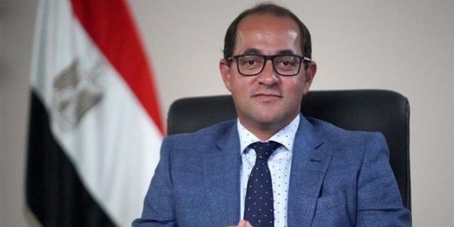 منصة للحوار المستدام بين جمعية رجال الأعمال المصريين الأفارقة ووزارة المالية