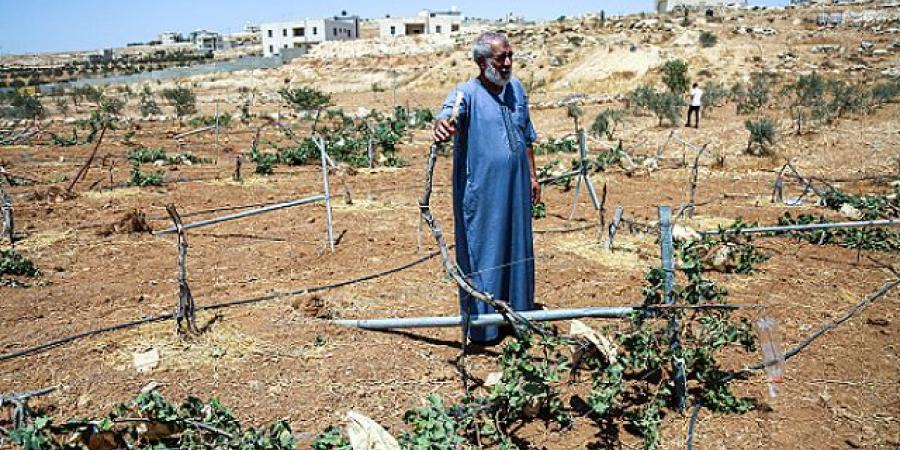 اعتقالات واقتحامات بالضفة ترافقت مع اعتداءات للمستوطنين