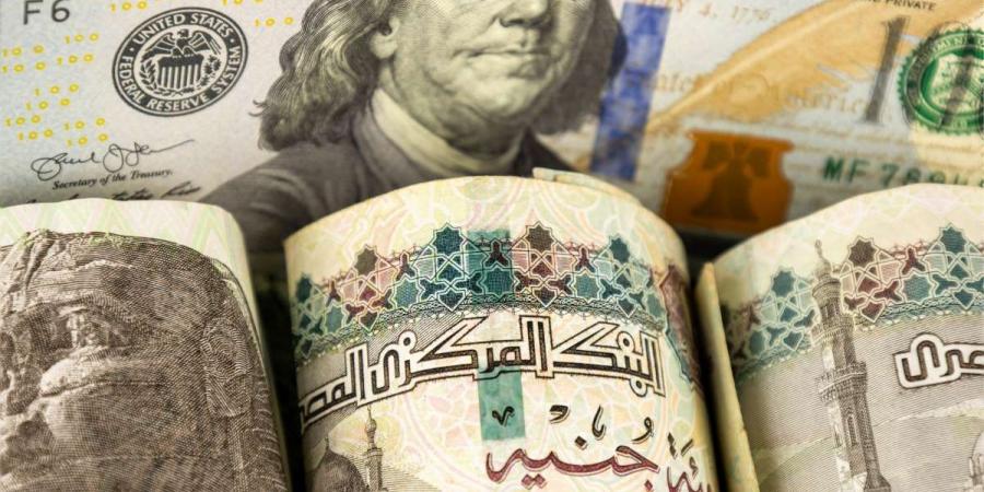 سعر الدولار في مستهل تعاملات بنوك مصر اليوم الثلاثاء 12 أغسطس 2025
