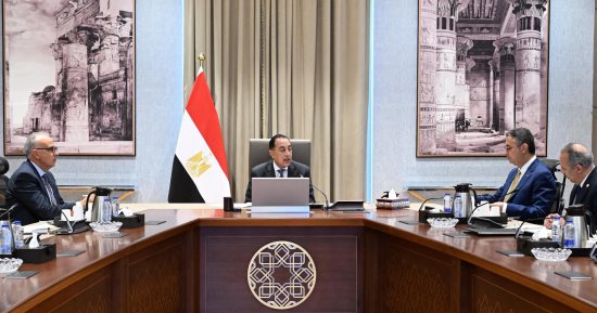 مدبولي يستعرض تحديات الأمن الغذائي والمائي