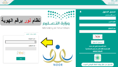 نتائج الطلاب في نظام نور للاختبارات العملية والشفهية