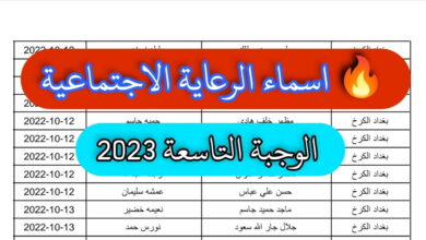 رابط أسماء الرعاية الاجتماعية الوجبة التاسعة علي موقع وزارة العمل