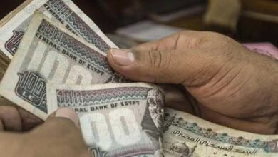 الحد الادني للأجور في مصر