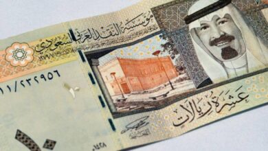 سعر الريال السعودي مقابل الجنية المصري