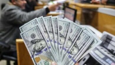 سعر الدولار اليوم