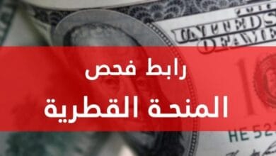 رابط الاستعلام الحكومي المركزي فحص 100 دولار
