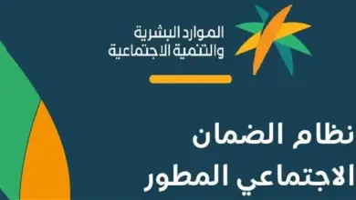 استعلام عن الضمان المطور عن طريق النفاذ الوطني