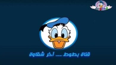تردد قناة بطوط الجديد