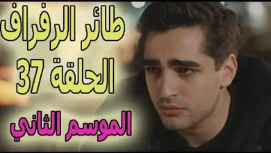 موعد عرض مسلسل طائر الرفراف الحلقة 37 الجزء الثاني