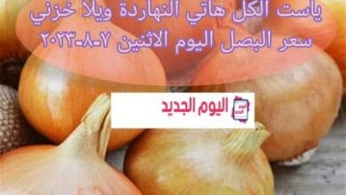 سعر البصل اليوم
